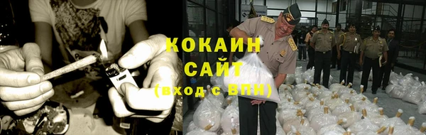 PSILOCYBIN Майский