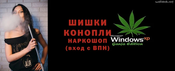 PSILOCYBIN Майский