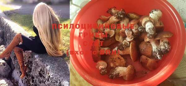 молекула духа Магас