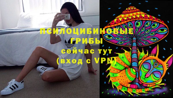 молекула духа Магас