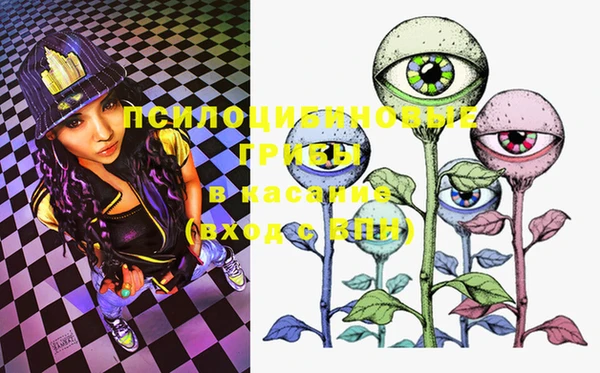 PSILOCYBIN Майский