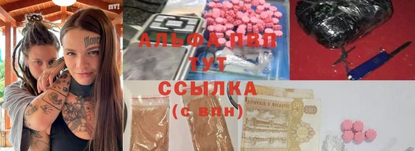 PSILOCYBIN Майский